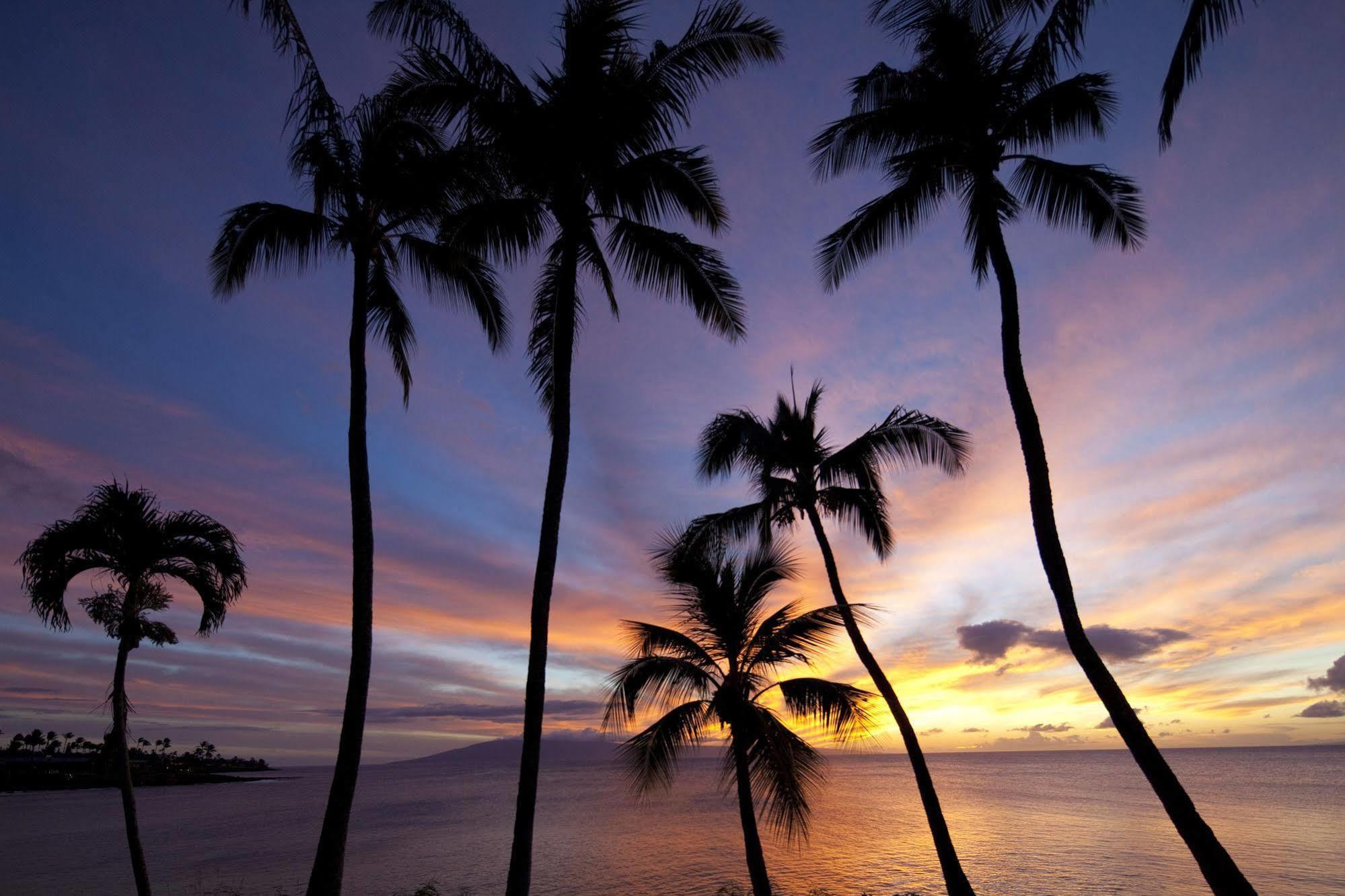 Napili Kai Beach Resort Kapalua Zewnętrze zdjęcie